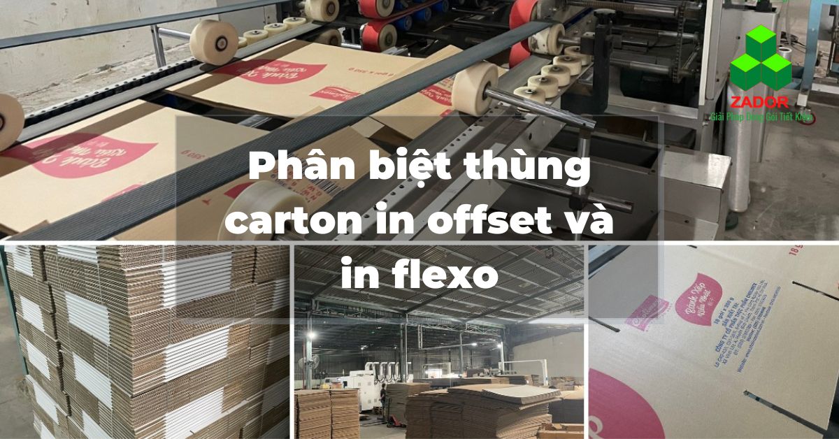 Phân biệt thùng Carton in offset và in flexo