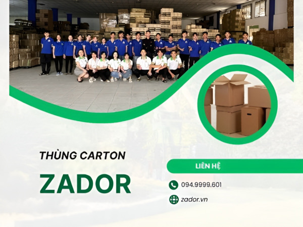 Zador chuyên nghiệp cung cấp một loạt các loại thùng carton