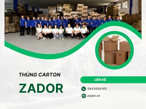 Zador nhà phân phối thùng carton quận Tân Bình 