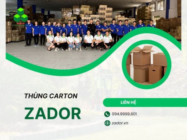 Zador - chuyên bán hộp giấy carton và thùng carton giá rẻ HCM